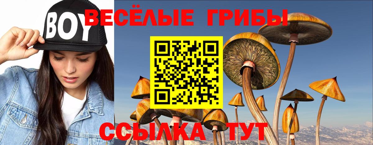 Галлюциногенные грибы мухоморы  Галлюциногенные грибы Magic Shrooms  Вход с VPN  Саранск 